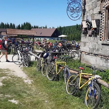 Pensionat Orzechowka 3*