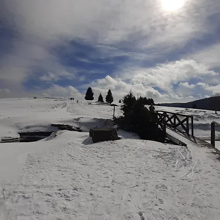 Guest house Orzechowka