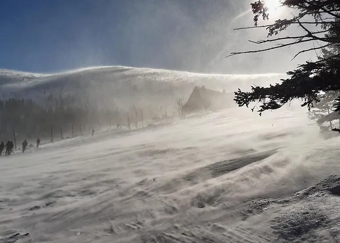 Guest house Orzechowka