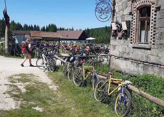 Guest house Orzechowka 3*