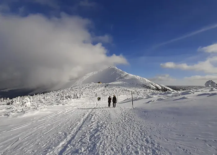 Guest house Orzechowka