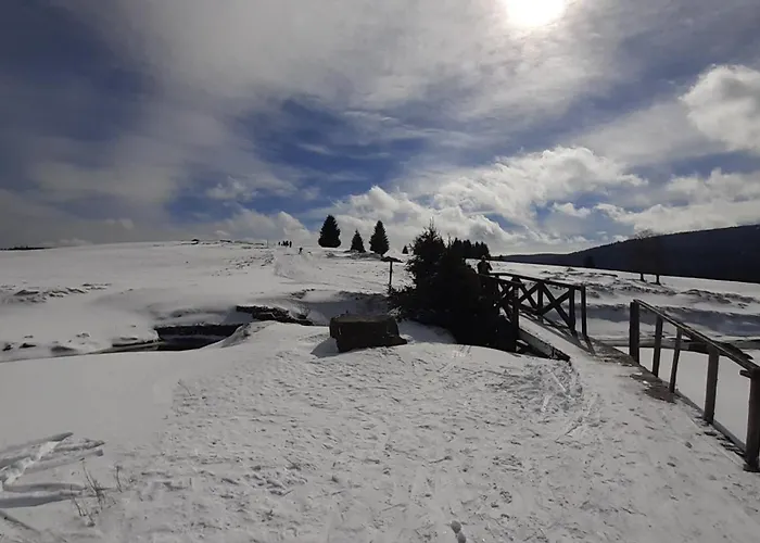 Guest house Orzechowka