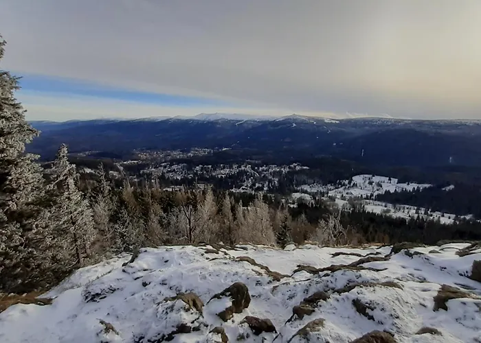 Guest house Orzechowka