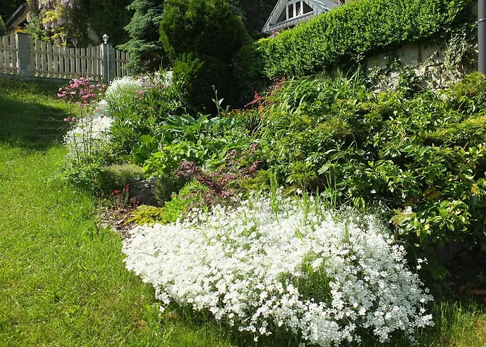 Guest house Orzechowka 3*